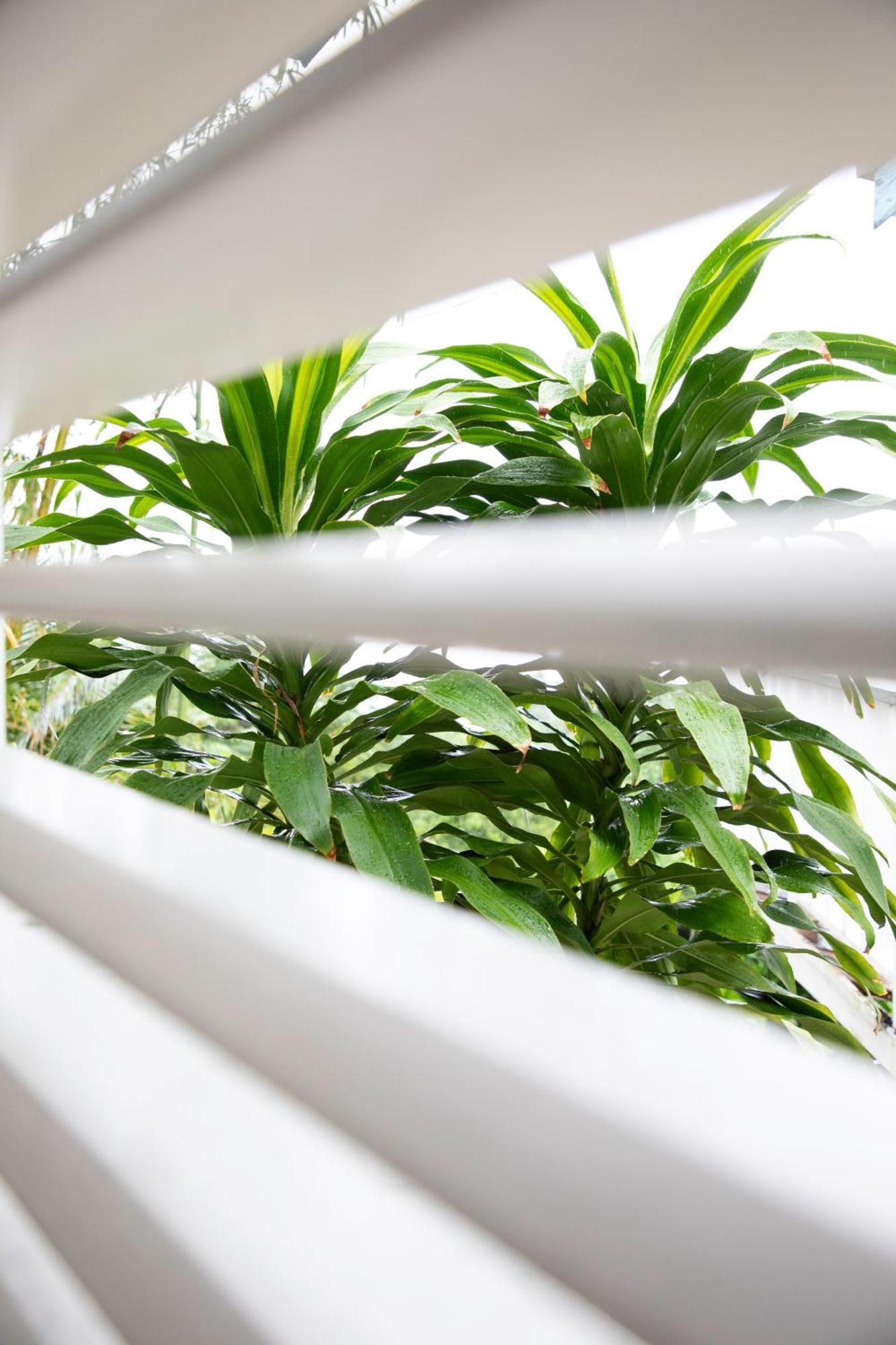 ホテル Lf Jungle Retreat Drapers エクステリア 写真